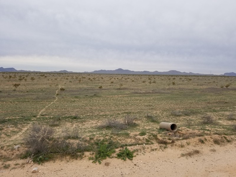20200120_160458