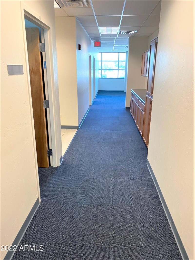 Natural light everywhere inside