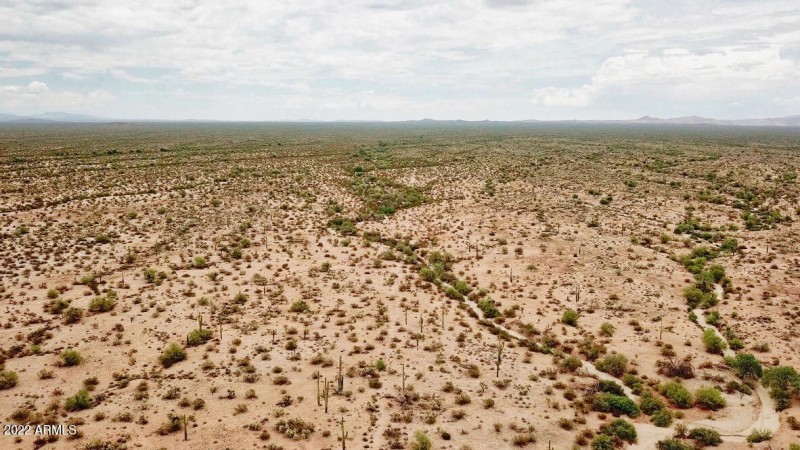 1BD23249-A7DC-4018-8937-1175019EB40E_1_1