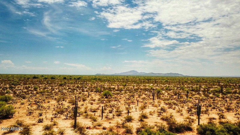 BA41468A-051B-4D5F-B20C-5CDFFAA15737_1_1