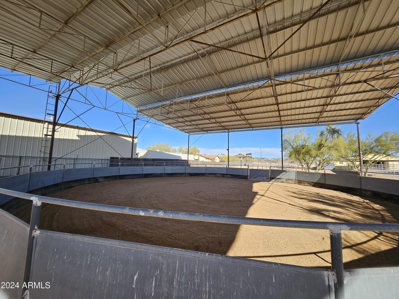 Bull Pen