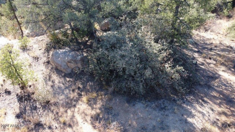 DJI_0104
