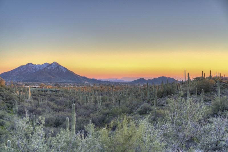 Cottonwood Canyon by Cave Creek
