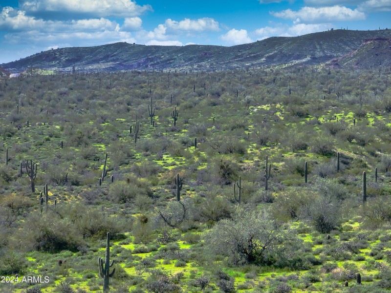 l4_DJI_0041-HDR_L4