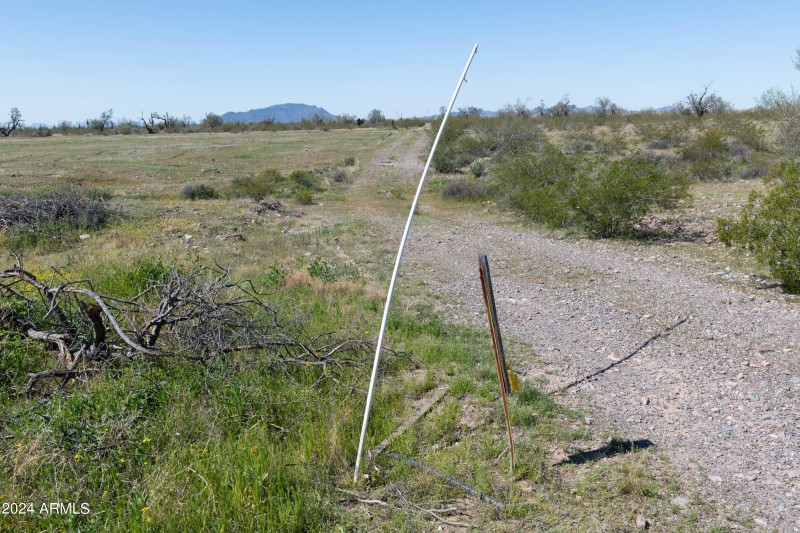 40 Acres-2
