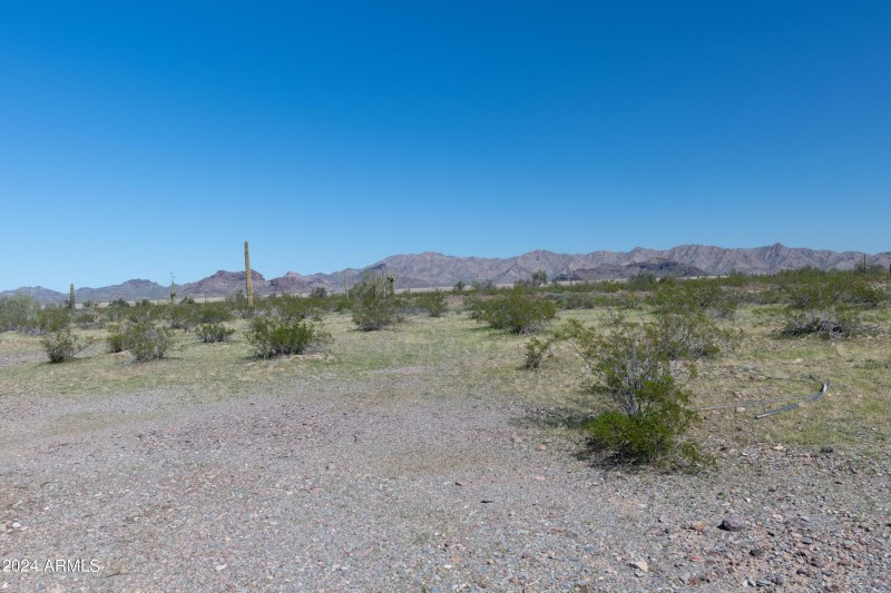40 Acres-4