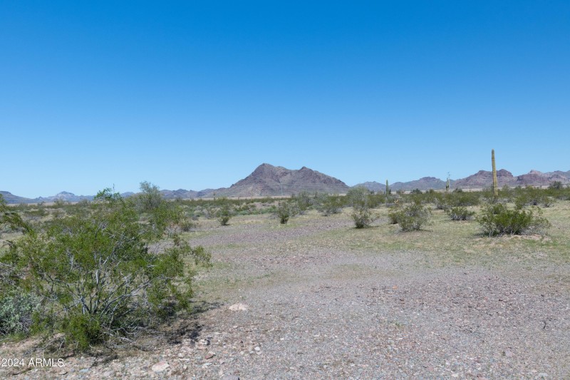 40 Acres-5