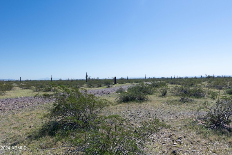 40 Acres-6