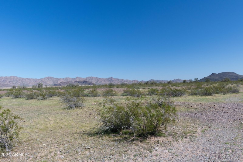 40 Acres-7