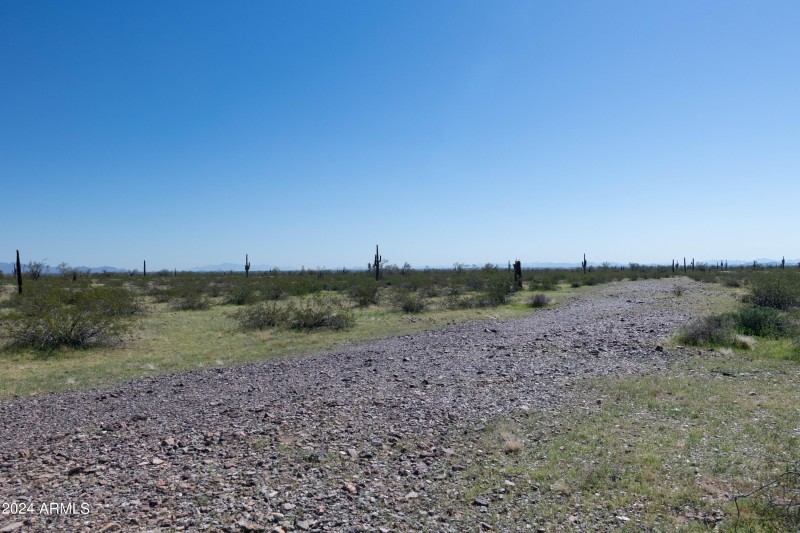 40 Acres-8