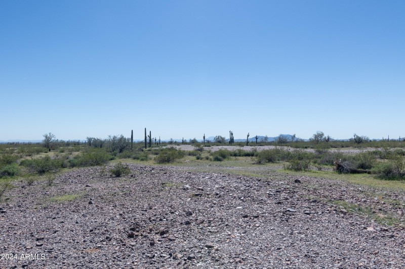 40 Acres-11