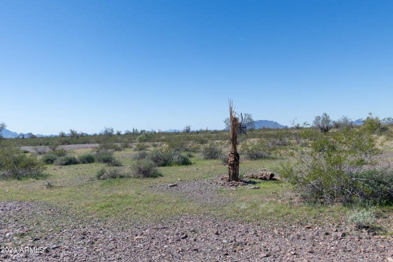 40 Acres-12