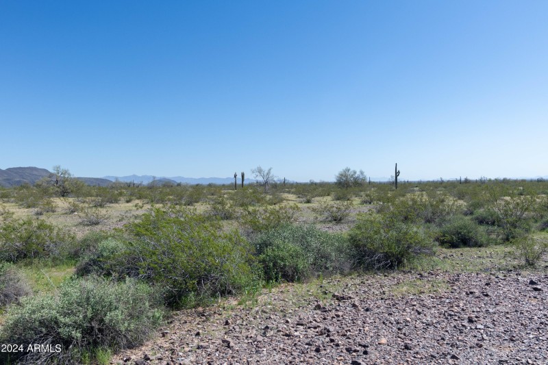 40 Acres-13