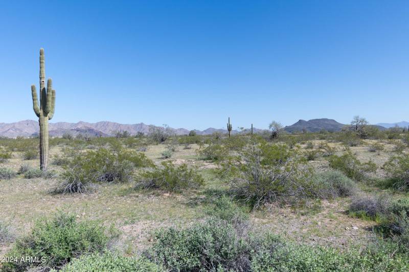 40 Acres-15