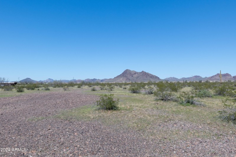 40 Acres-16