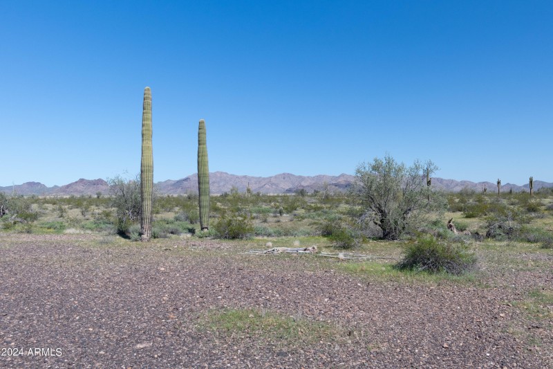 40 Acres-21