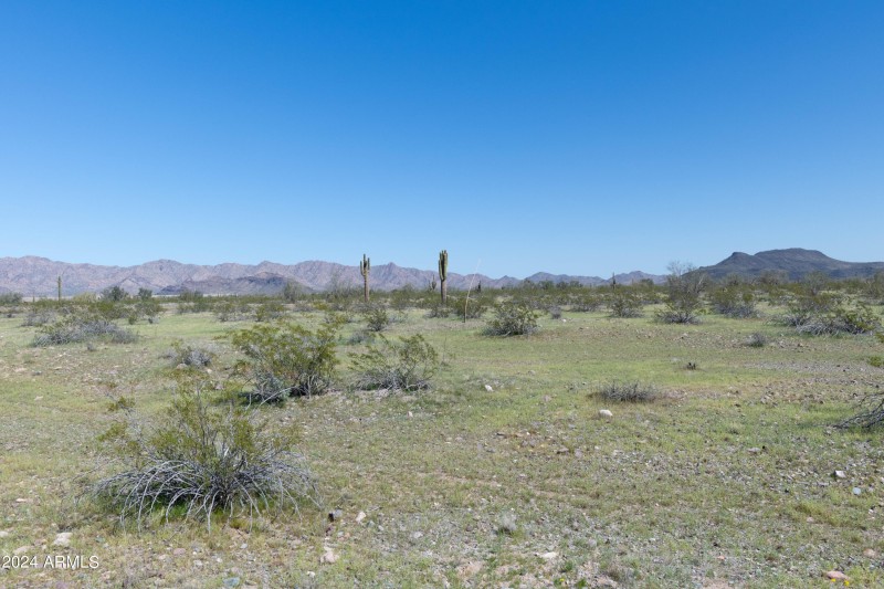 40 Acres-22