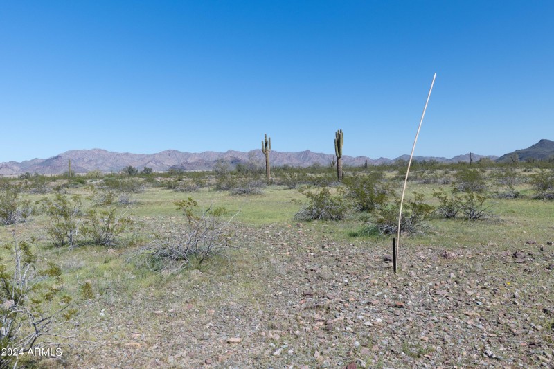 40 Acres-23
