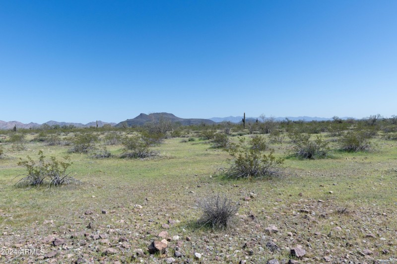 40 Acres-24