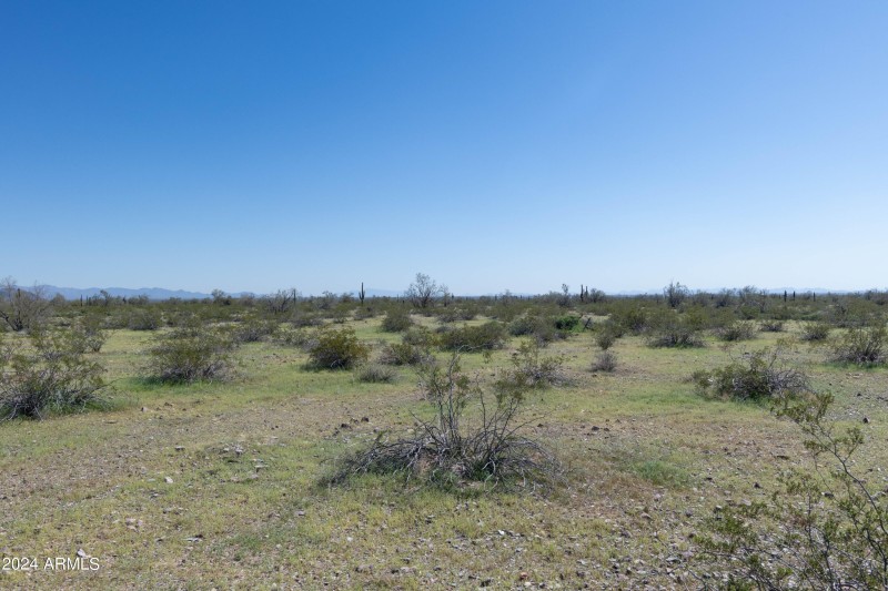 40 Acres-25