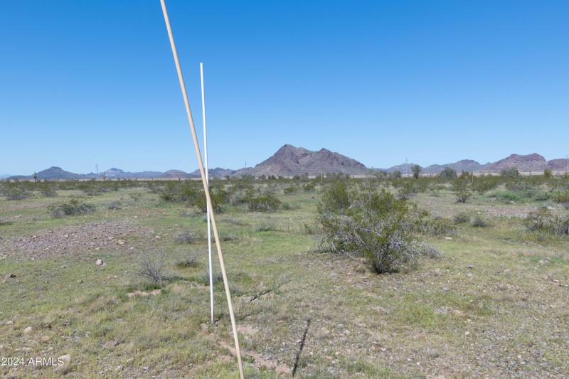 40 Acres-26