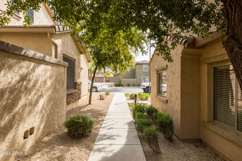 Front walking Path