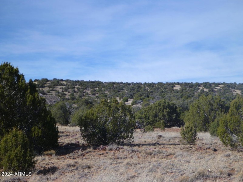 1 COUNTY ROAD 8060