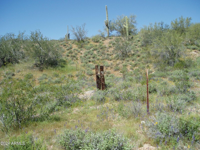 P3300020