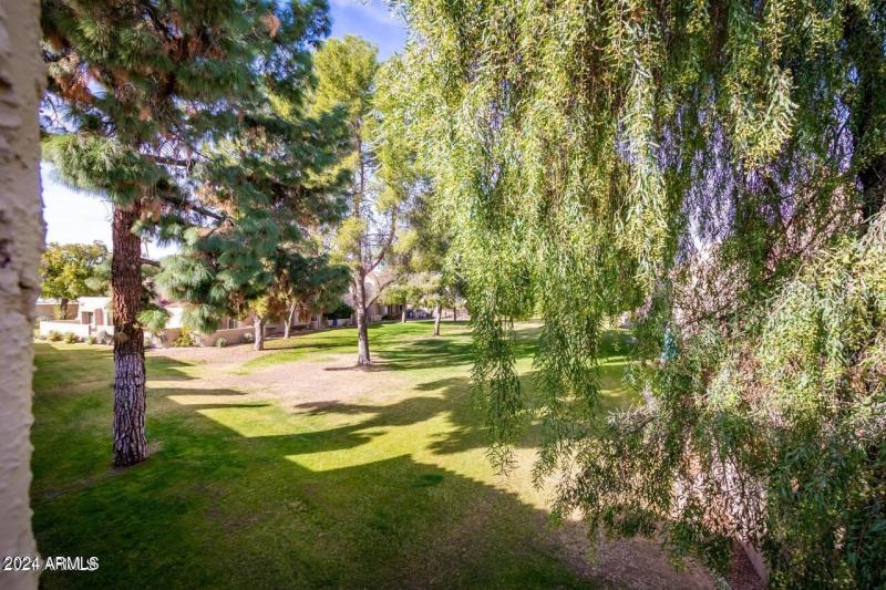 CV View from balcony