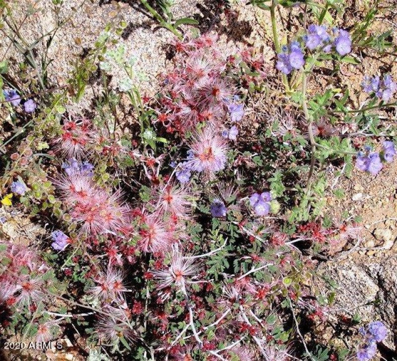 4a