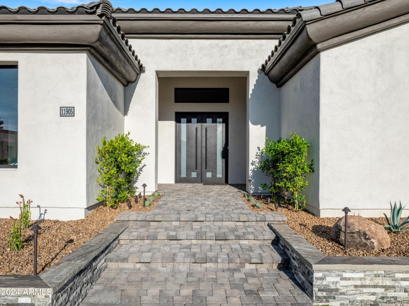 Modern Entry Walkway