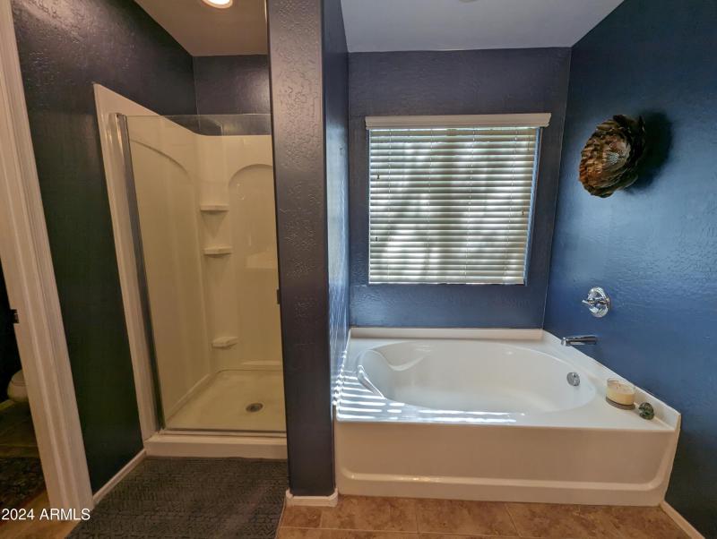 Separate Tub/ Shower