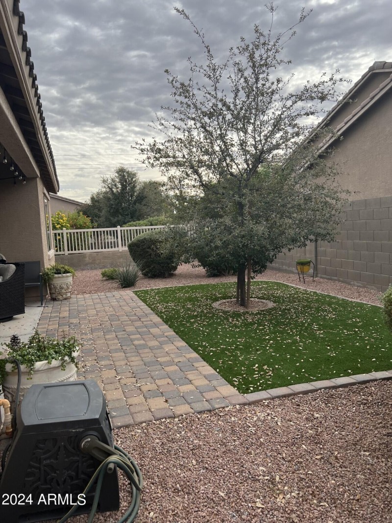 Flamingo back yard