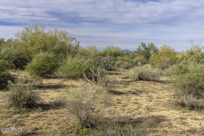163rd_Land_View_2