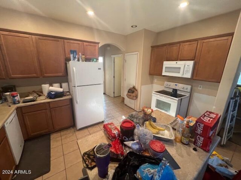 Holly Kitchen