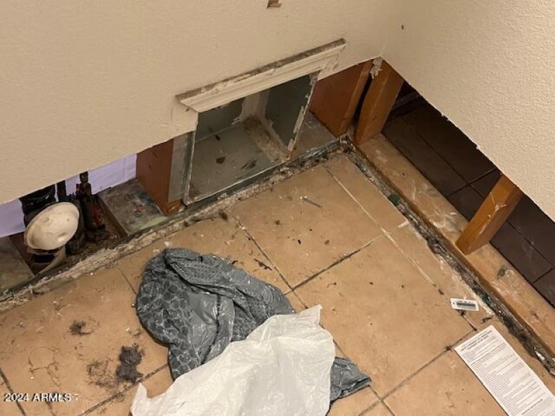 Holly water damage. 2