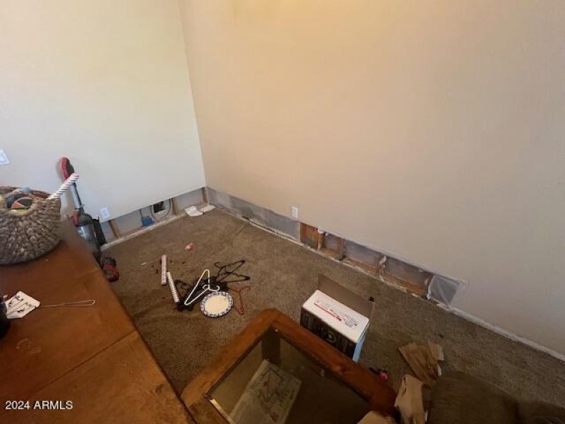 Holly water damage 3