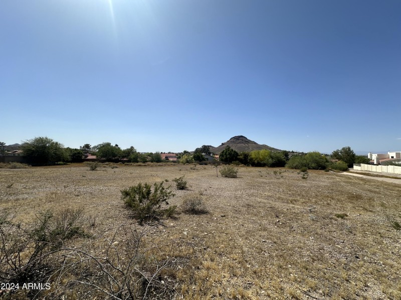 Large lot
