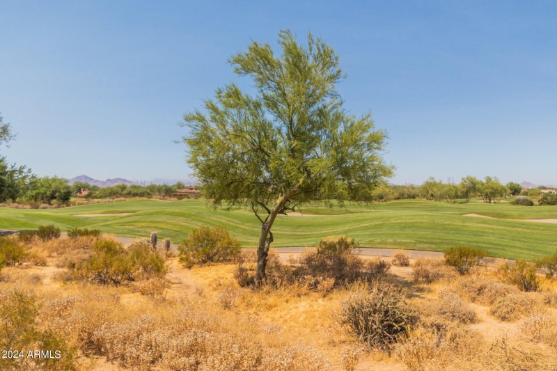 Grayhawk Golf Course