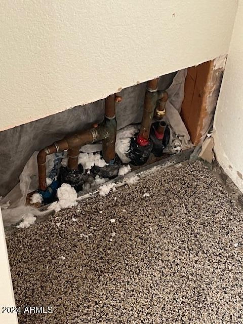 Holly water damage 1