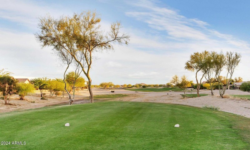 30200 N Desert Willow Blvd-large-026-001