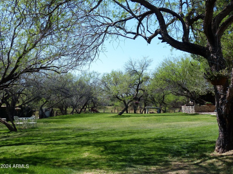 Arbor-2