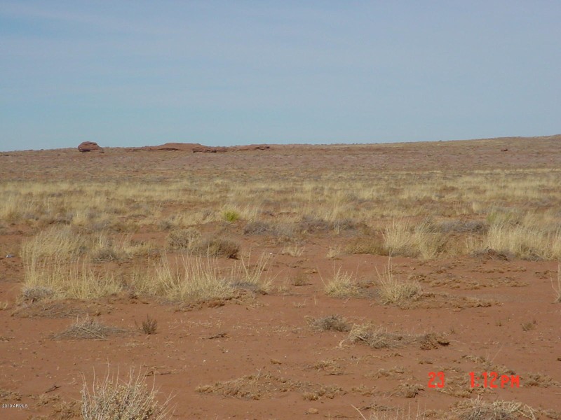 Turquoise Ranch