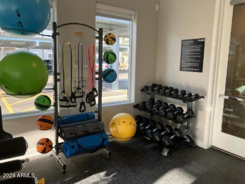 Granite fitness.jpg (2) balls