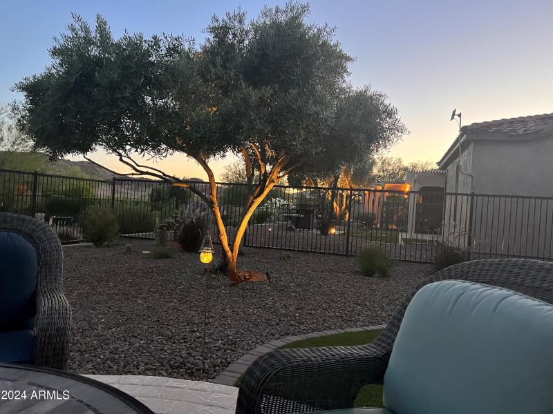 Backyard at Twilight