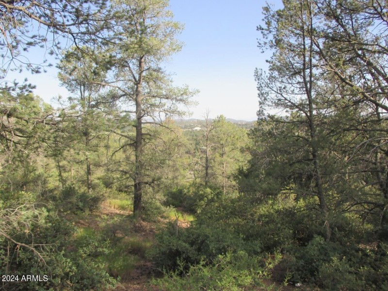 Photo 07