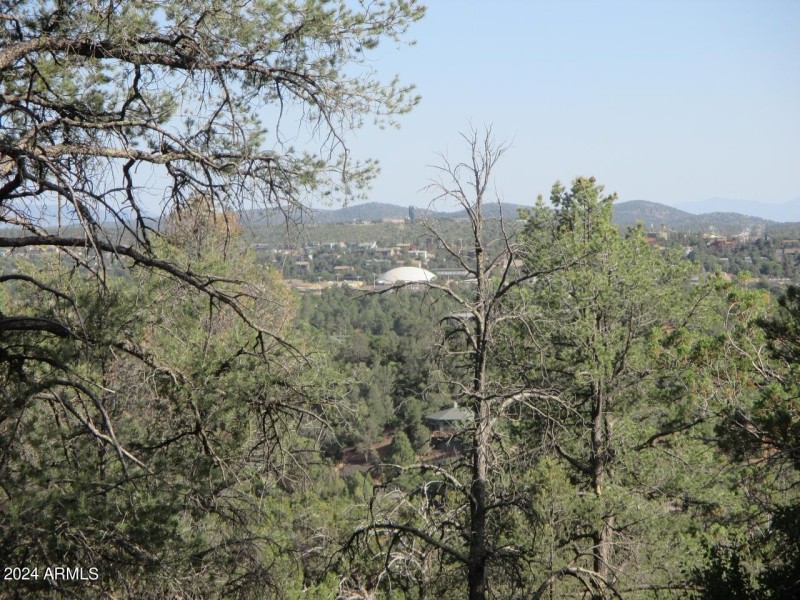 Photo 08