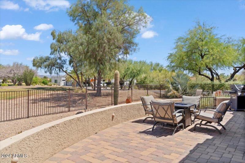 Beautiful Trees In The SE View