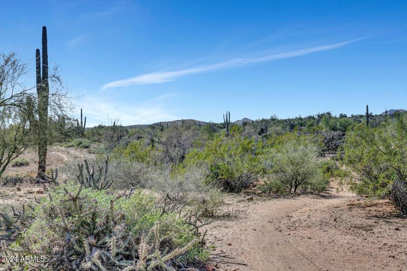 Beautiful Private Desert Hiking Trails