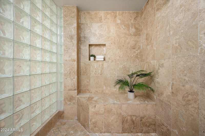 Primary Shower